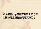 光大银行app国外汇款怎么汇（光大银行网上银行如何购买外汇）