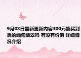 9月08日最新更新内容300元能买到真的缅甸翡翠吗 有没有价值 详细情况介绍