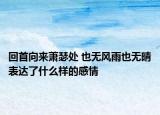 回首向来萧瑟处 也无风雨也无晴表达了什么样的感情