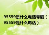 95559是什么电话号码（95559是什么电话）