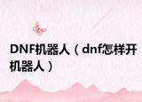 DNF机器人（dnf怎样开机器人）