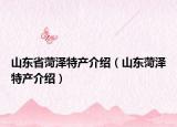 山东省菏泽特产介绍（山东菏泽特产介绍）