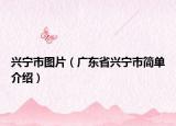 兴宁市图片（广东省兴宁市简单介绍）