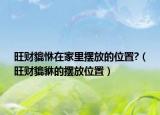 旺财貔恘在家里摆放的位置?（旺财貔貅的摆放位置）