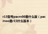 r15型号pacm00是什么版（pacmoo是r15什么版本）