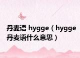 丹麦语 hygge（hygge丹麦语什么意思）
