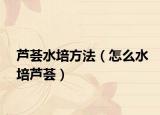 芦荟水培方法（怎么水培芦荟）