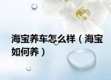 海宝养车怎么样（海宝如何养）