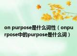 on purpose是什么词性（onpurpose中的purpose是什么词）