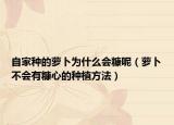 自家种的萝卜为什么会糠呢（萝卜不会有糠心的种植方法）