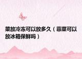 菜放冷冻可以放多久（菲菜可以放冰箱保鲜吗）