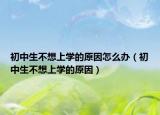 初中生不想上学的原因怎么办（初中生不想上学的原因）