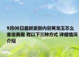 9月08日最新更新内容黄龙玉怎么鉴定真假 有以下三种方式 详细情况介绍