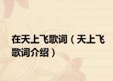 在天上飞歌词（天上飞歌词介绍）