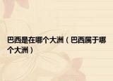 巴西是在哪个大洲（巴西属于哪个大洲）