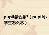 pupil怎么念?（pupil小学生怎么念）