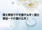提土旁加个斤字是什么字（提土旁加一个斤是什么字）