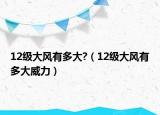 12级大风有多大?（12级大风有多大威力）