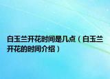 白玉兰开花时间是几点（白玉兰开花的时间介绍）