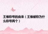 王维称号的由来（王维被称为什么称号两个）