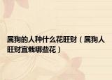 属狗的人种什么花旺财（属狗人旺财宜栽哪些花）