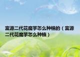 富源二代花魔芋怎么种植的（富源二代花魔芋怎么种植）