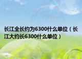 长江全长约为6300什么单位（长江大约长6300什么单位）