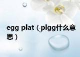 egg plat（plgg什么意思）
