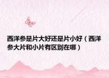 西洋参是片大好还是片小好（西洋参大片和小片有区别在哪）