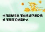 当日最新消息 玉有棉好还是没棉好 玉里面的棉是什么