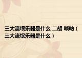 三大流氓乐器是什么 二胡 唢呐（三大流氓乐器是什么）