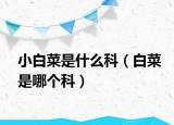 小白菜是什么科（白菜是哪个科）