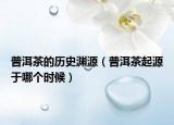 普洱茶的历史渊源（普洱茶起源于哪个时候）