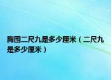 胸围二尺九是多少厘米（二尺九是多少厘米）