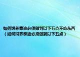 如何饲养泰迪必须做到以下五点不吃东西（如何饲养泰迪必须做到以下五点）