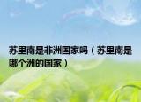 苏里南是非洲国家吗（苏里南是哪个洲的国家）