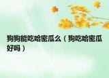 狗狗能吃哈密瓜么（狗吃哈密瓜好吗）