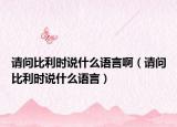 请问比利时说什么语言啊（请问比利时说什么语言）