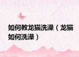 如何教龙猫洗澡（龙猫如何洗澡）