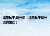 墙里秋千,墙外道（墙里秋千墙外道的出处）