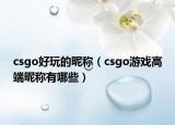 csgo好玩的昵称（csgo游戏高端昵称有哪些）
