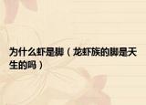 为什么虾是脚（龙虾族的脚是天生的吗）