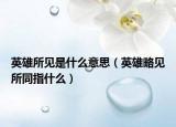 英雄所见是什么意思（英雄略见所同指什么）
