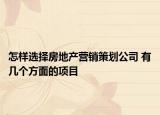 怎样选择房地产营销策划公司 有几个方面的项目