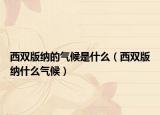 西双版纳的气候是什么（西双版纳什么气候）