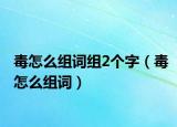 毒怎么组词组2个字（毒怎么组词）