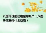 八面玲珑的动物是哪几个（八面玲珑是指什么动物）