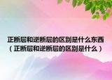 正断层和逆断层的区别是什么东西（正断层和逆断层的区别是什么）