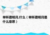 举杯邀明月,什么（举杯邀明月是什么意思）