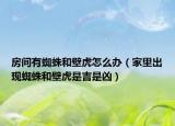 房间有蜘蛛和壁虎怎么办（家里出现蜘蛛和壁虎是吉是凶）
